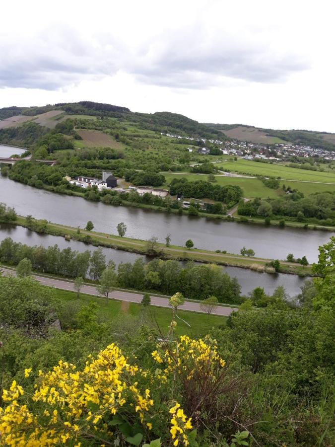 Ferienwohnung Saarblick Ockfen Eksteriør billede