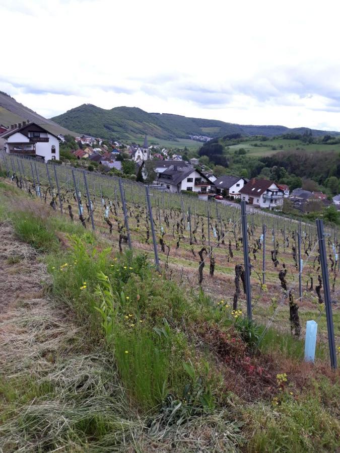 Ferienwohnung Saarblick Ockfen Eksteriør billede